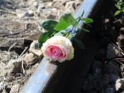 Je to aktuální zpráva: Známá zpěvačka se pokusila o sebevraždu